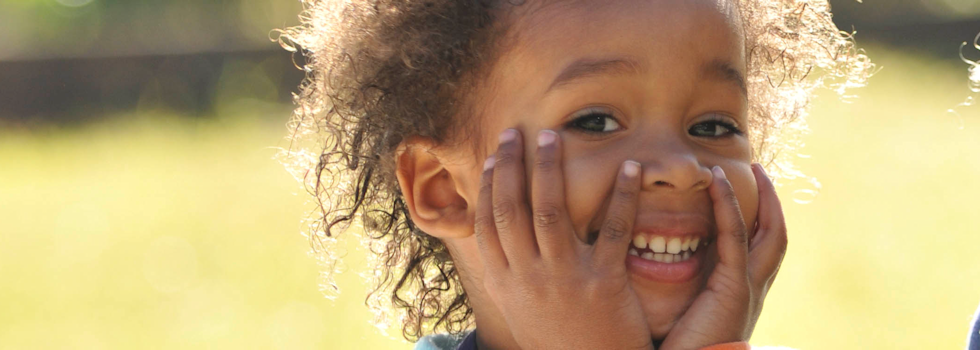 North Hertfordshire DSPL Area 1 - Hitchin, Letchworth, Baldock and Royston